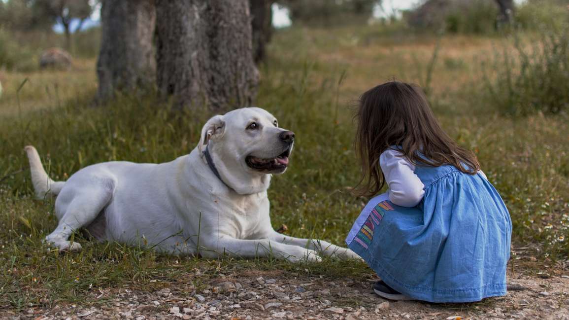 Niños y Mascotas: Pros y Contras, una Guía Completa con Consejos de MA Psicólogos Oviedo